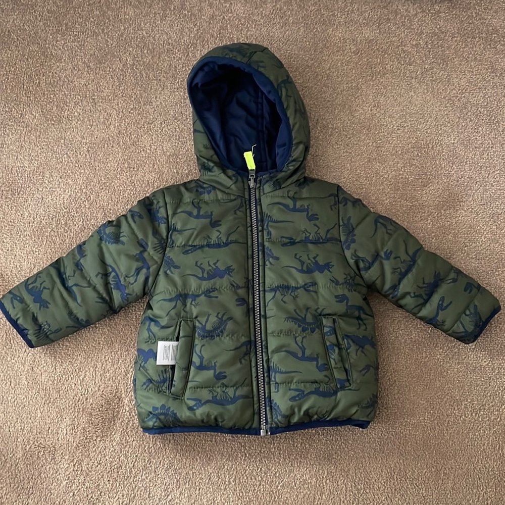 Dinosaur winter jacket